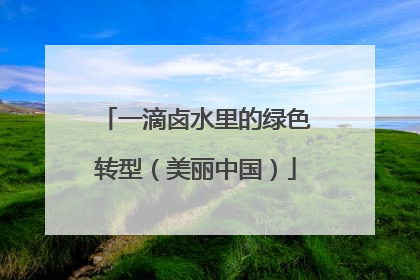 一滴卤水里的绿色转型（美丽中国）
